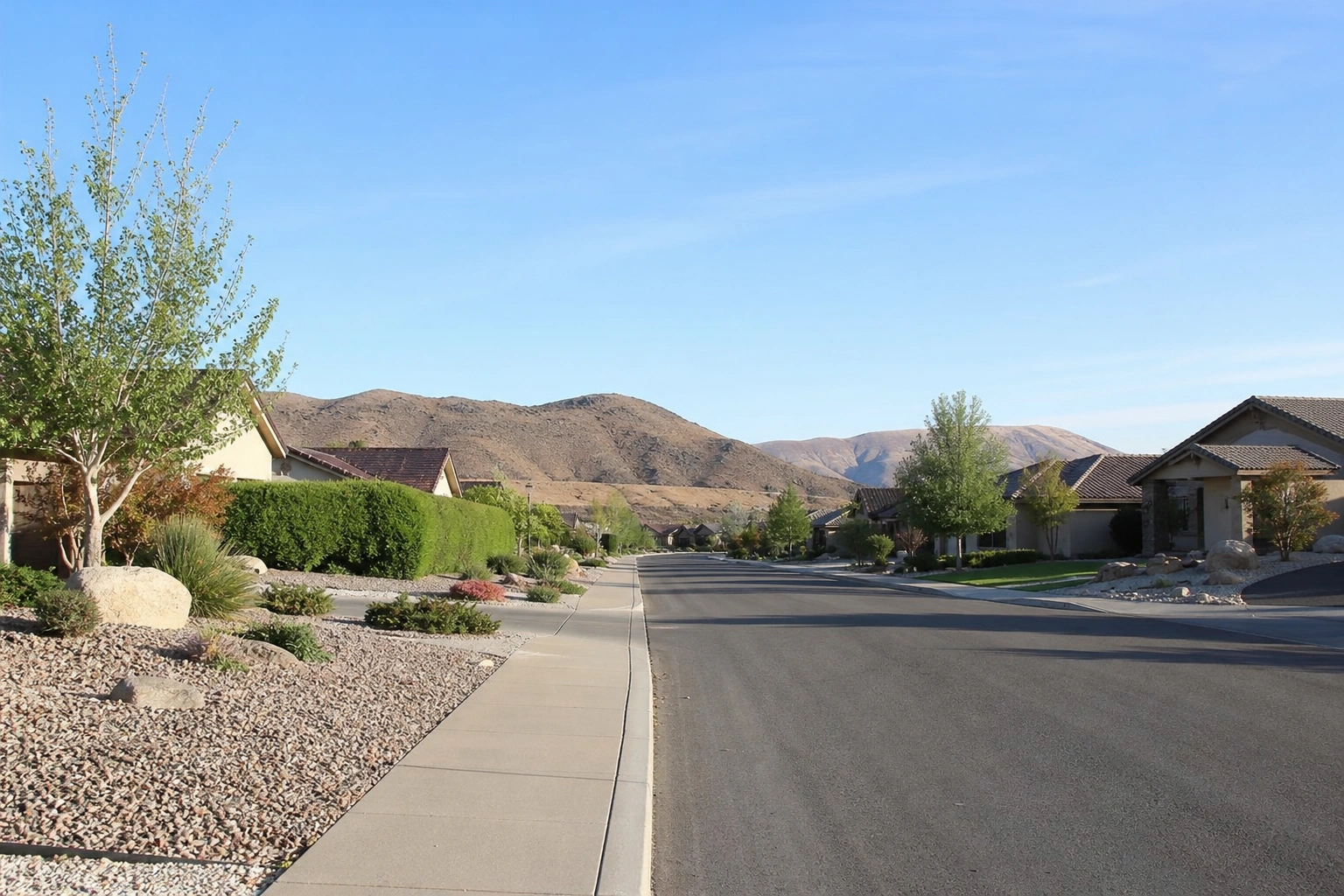 A Kennewick residential street with desert landscaping, home to the common pests in Kennewick covered in this guide