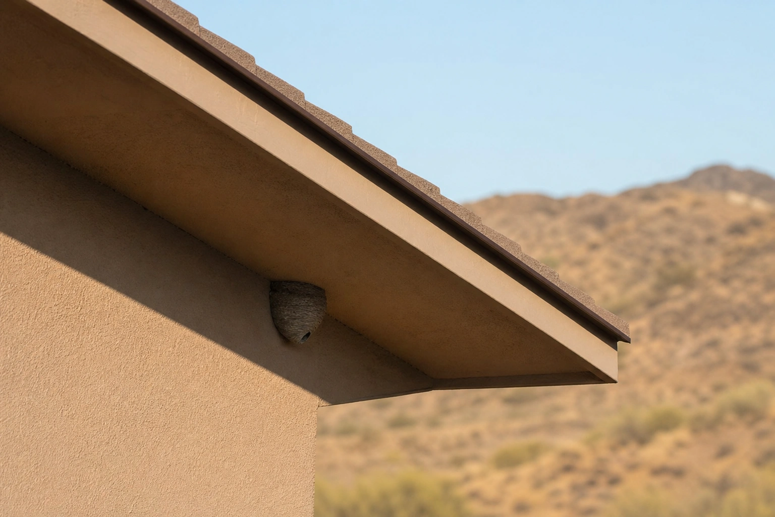 A paper wasp nest under the eave of a Kennewick home in late summer — the season wasp control in Kennewick gets urgent